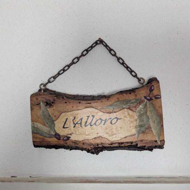 PXL_20260324_091551140.RAW-01.COVER