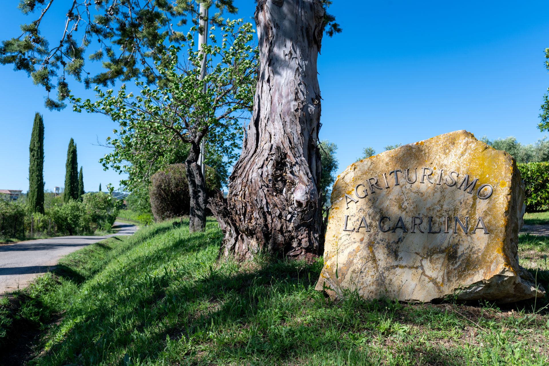 _DSC3487-HDR
