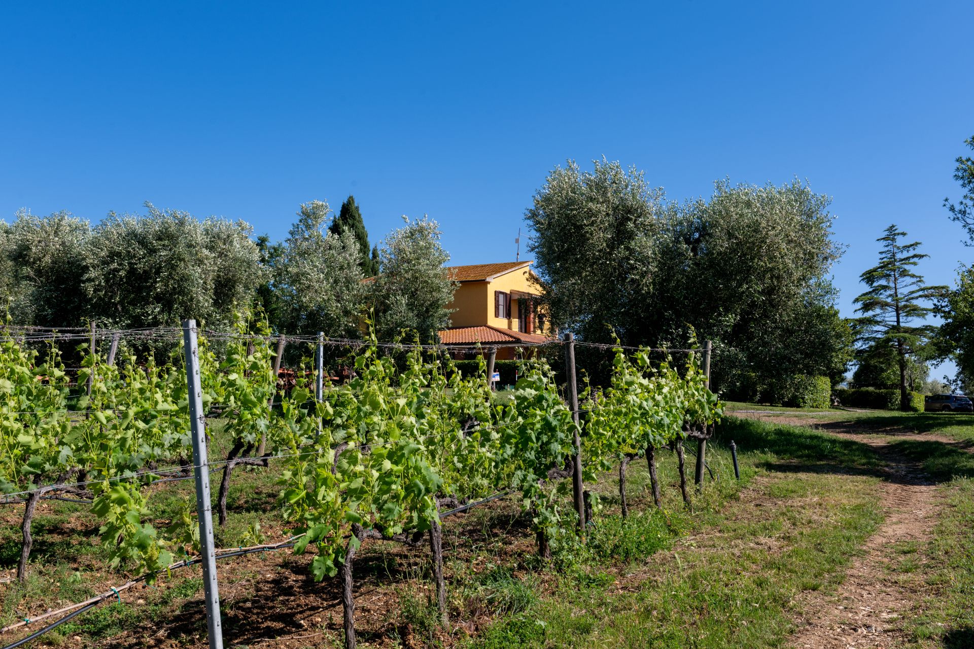 _DSC3516-HDR